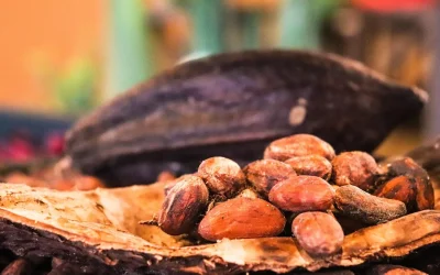Chocolate, Cacao & Coffee – The Brown Gold of Costa Rica