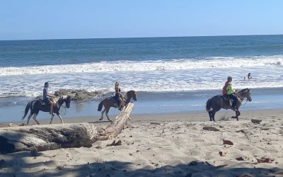 What to Do in Santa Teresa